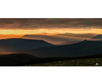 Вишерский заповедник. Артикул: 102